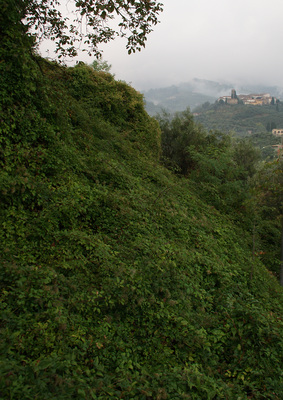 Bei Buggiano Castello